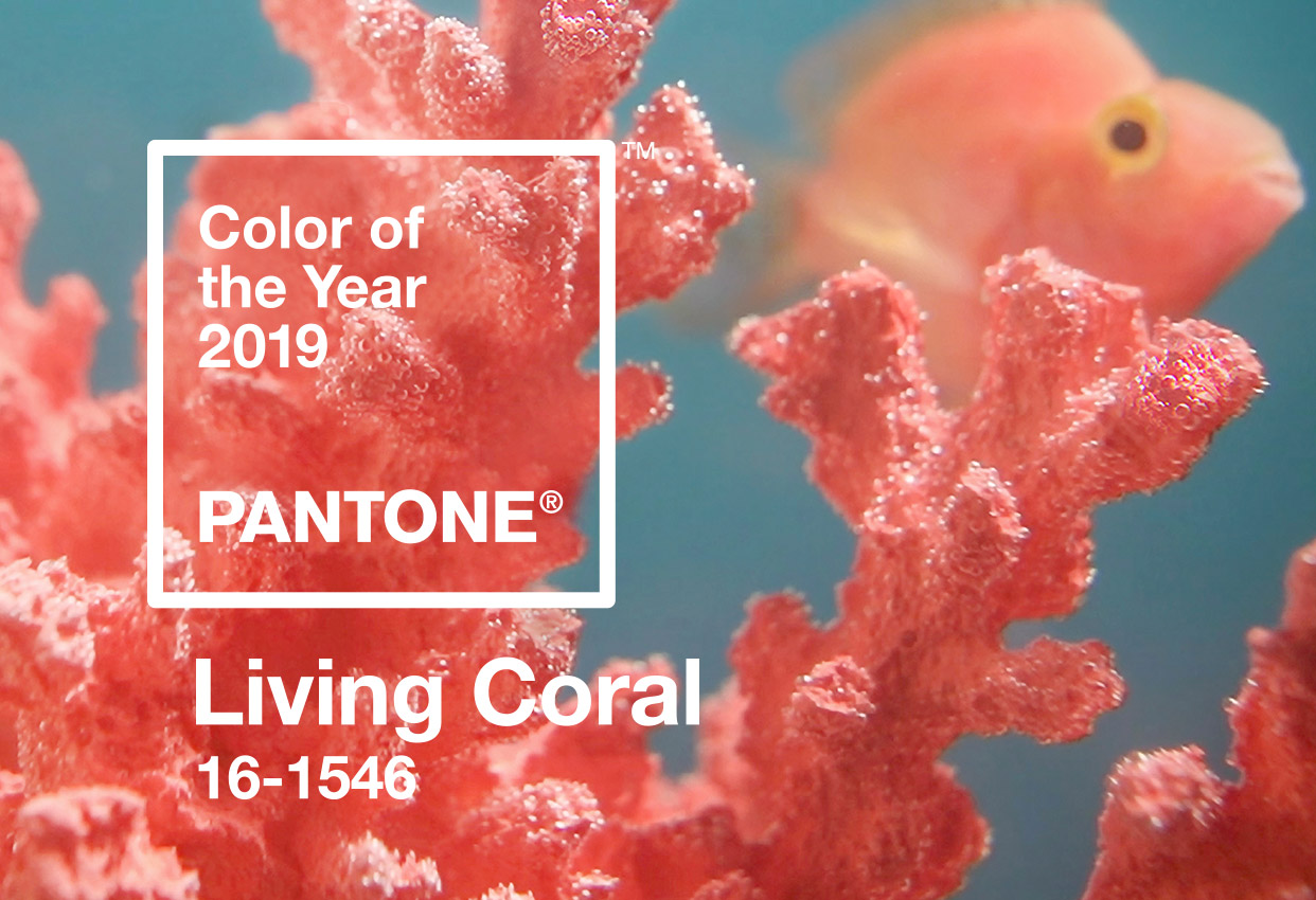 Pantone Announces the 2019 Color of the Year!