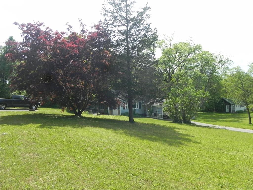 image6