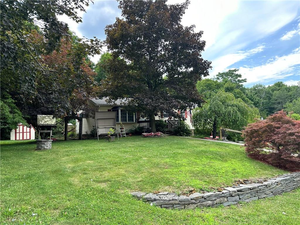 image5