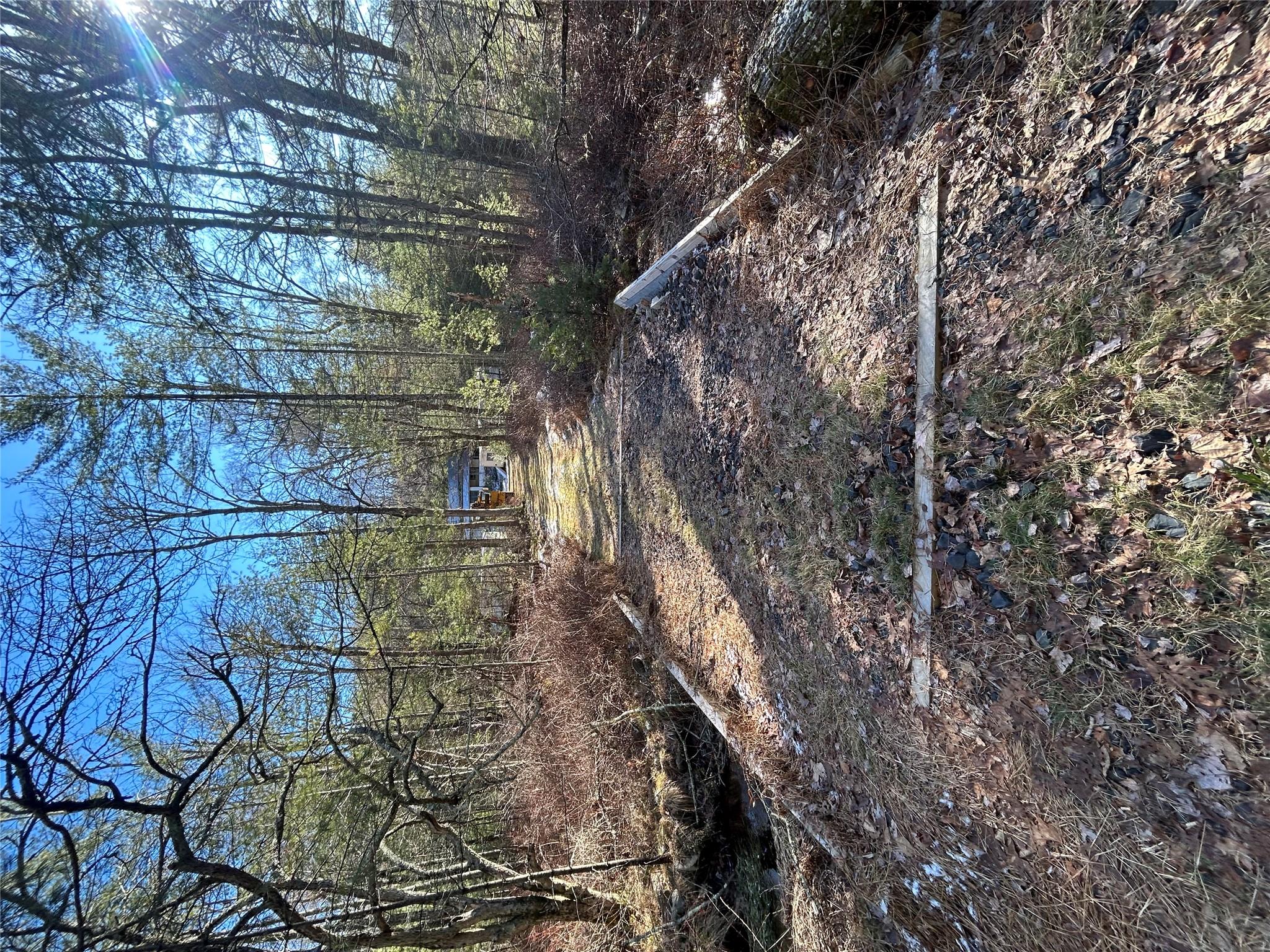 image11