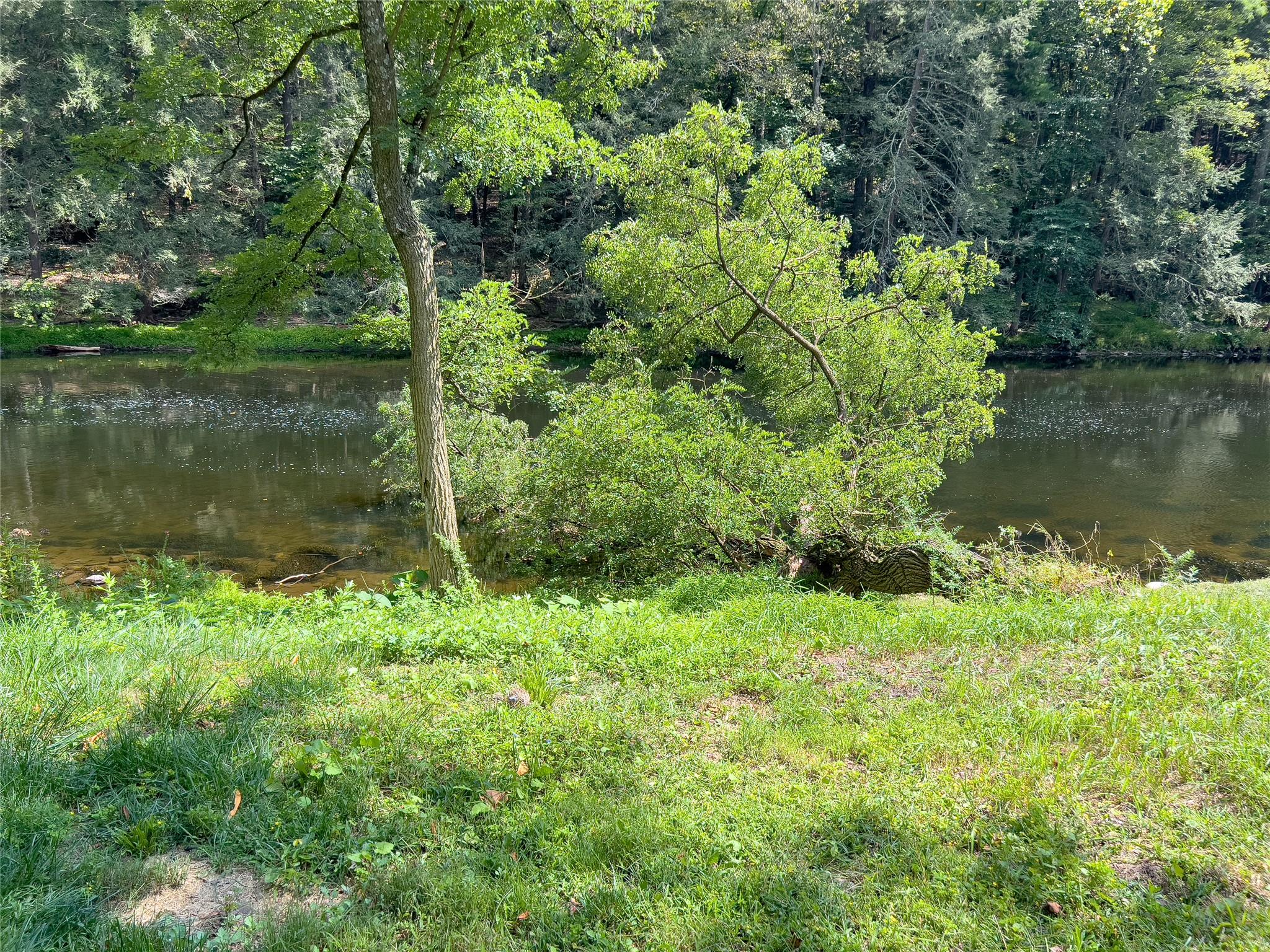 image12