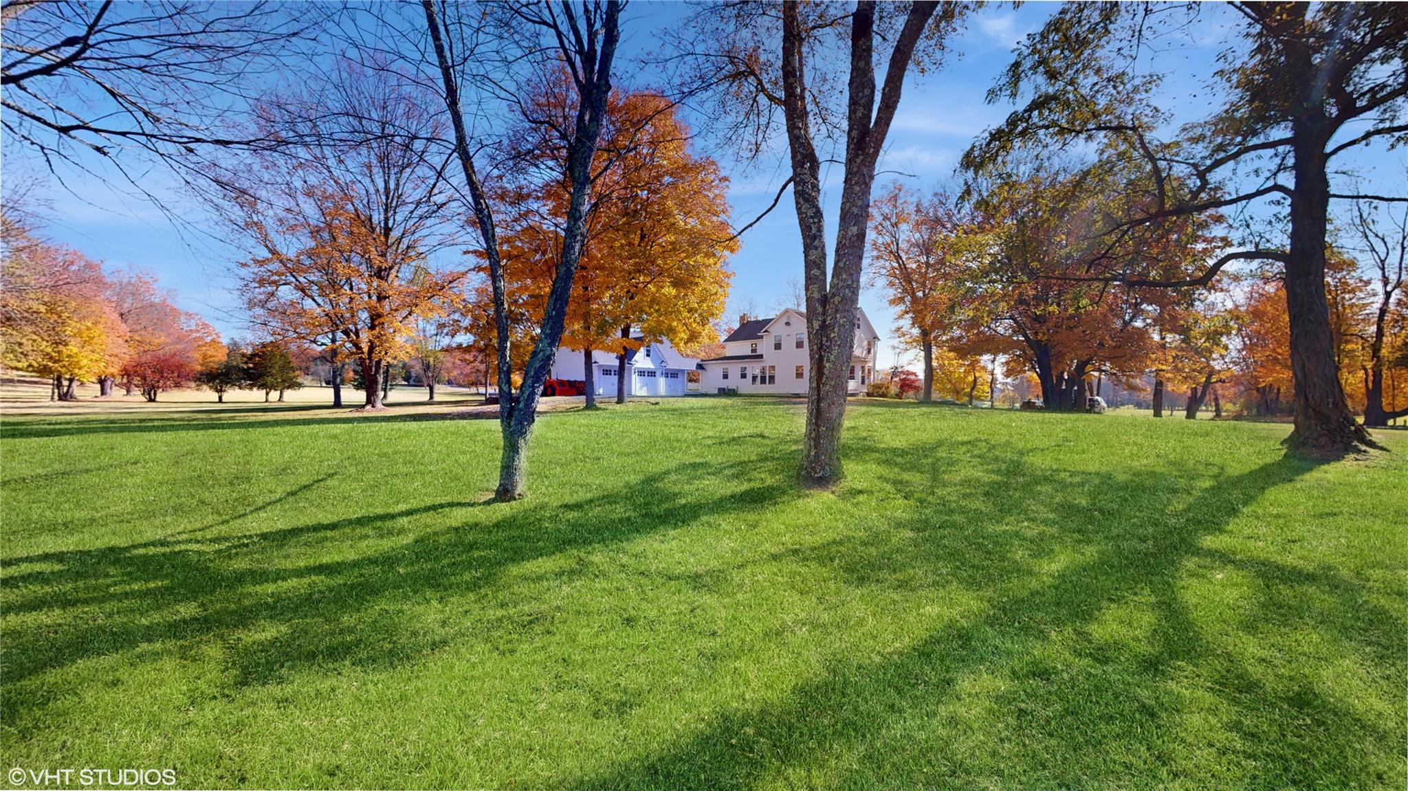 image7