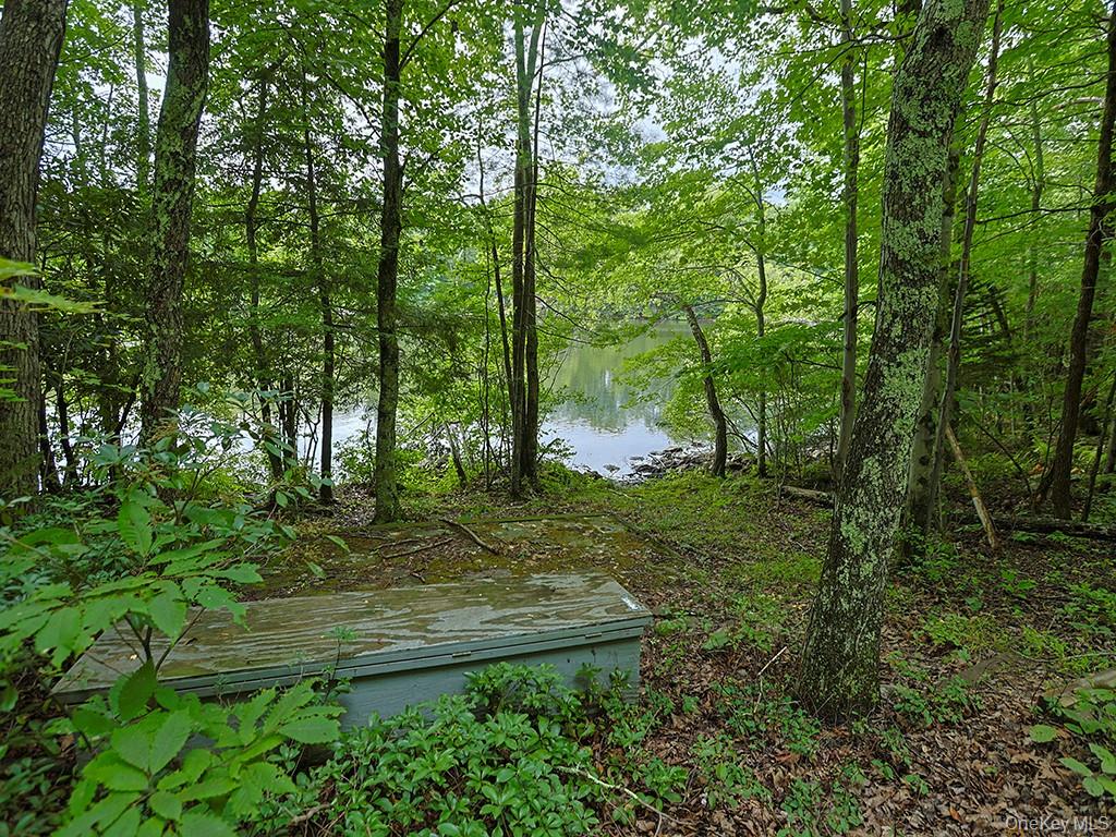 image35
