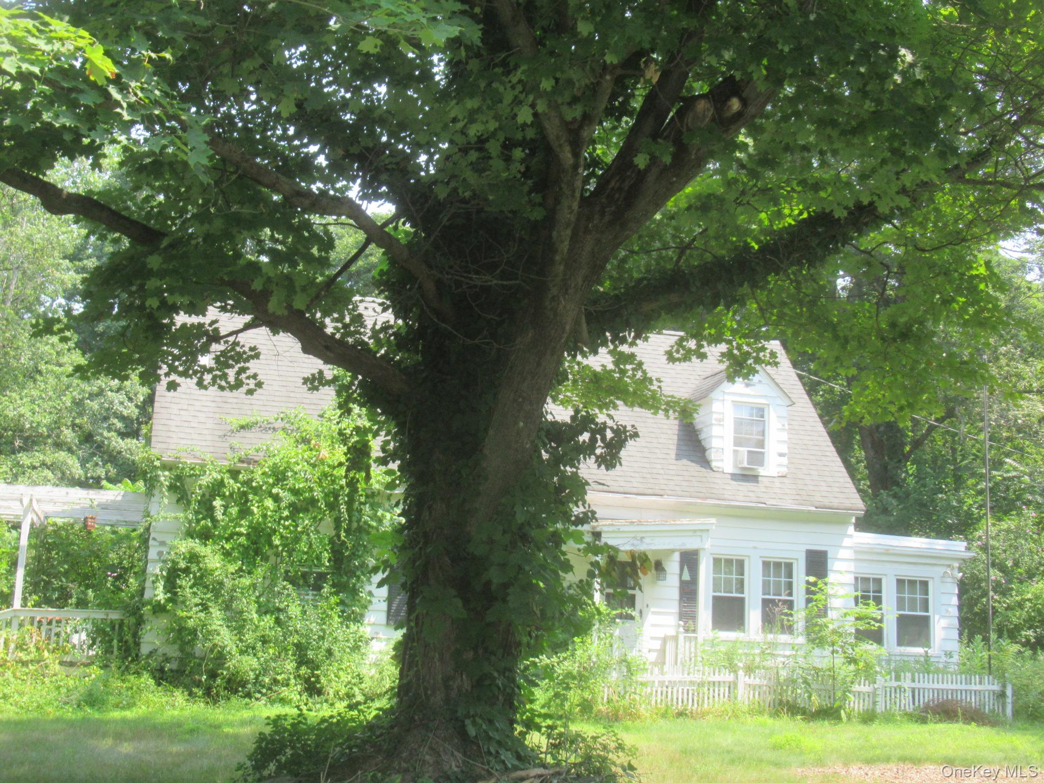 image5