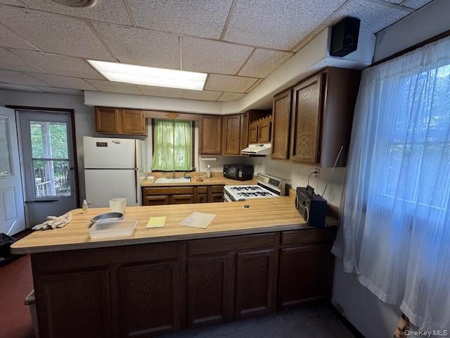 image10