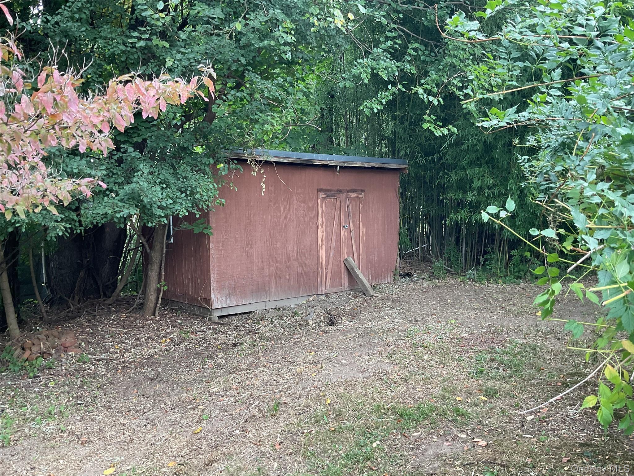 image7