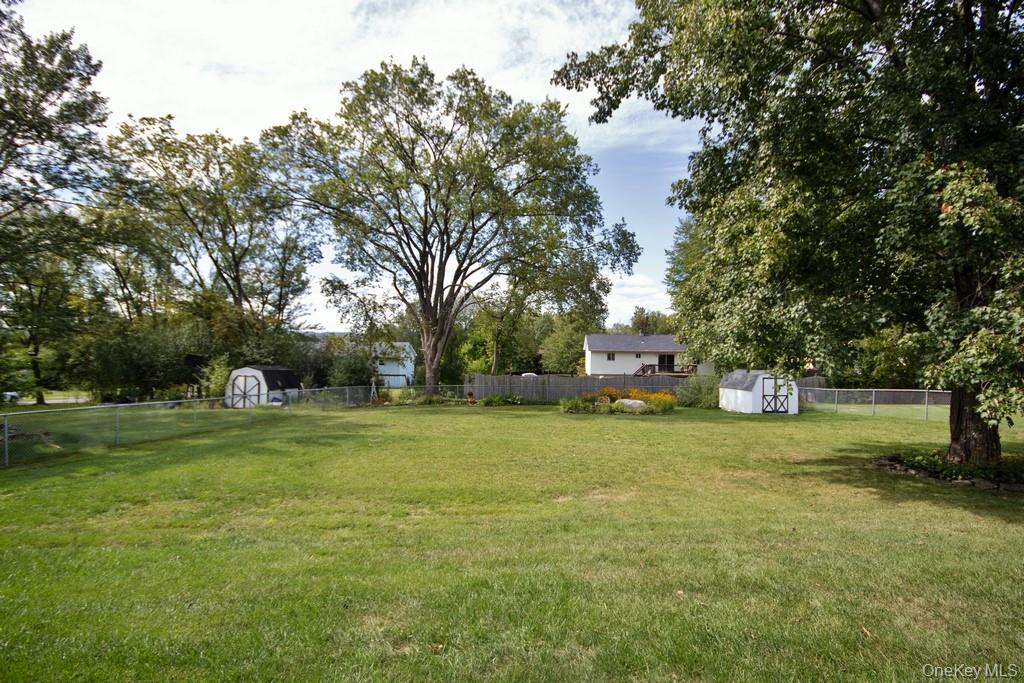 image6