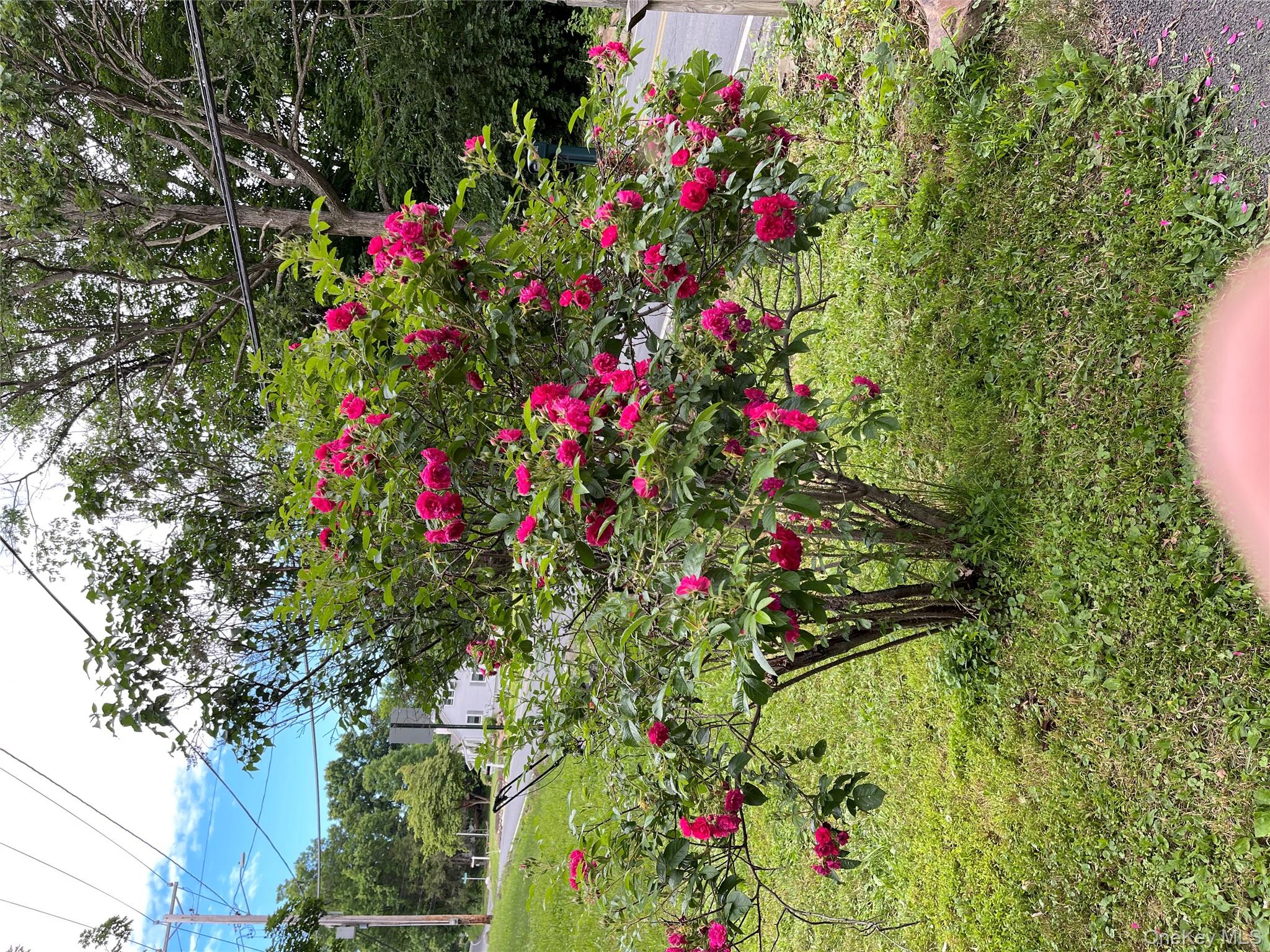 image 26