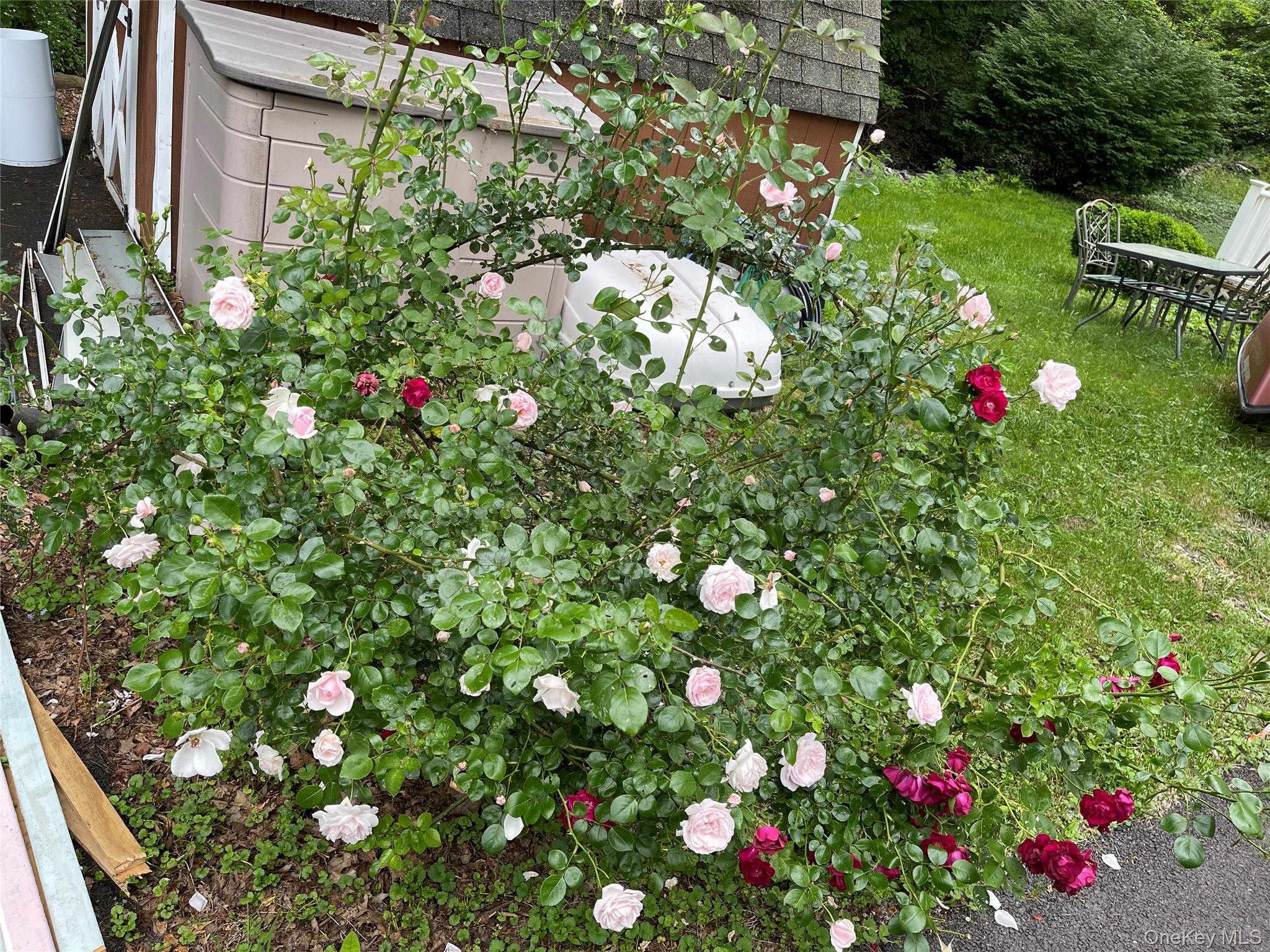 image 27
