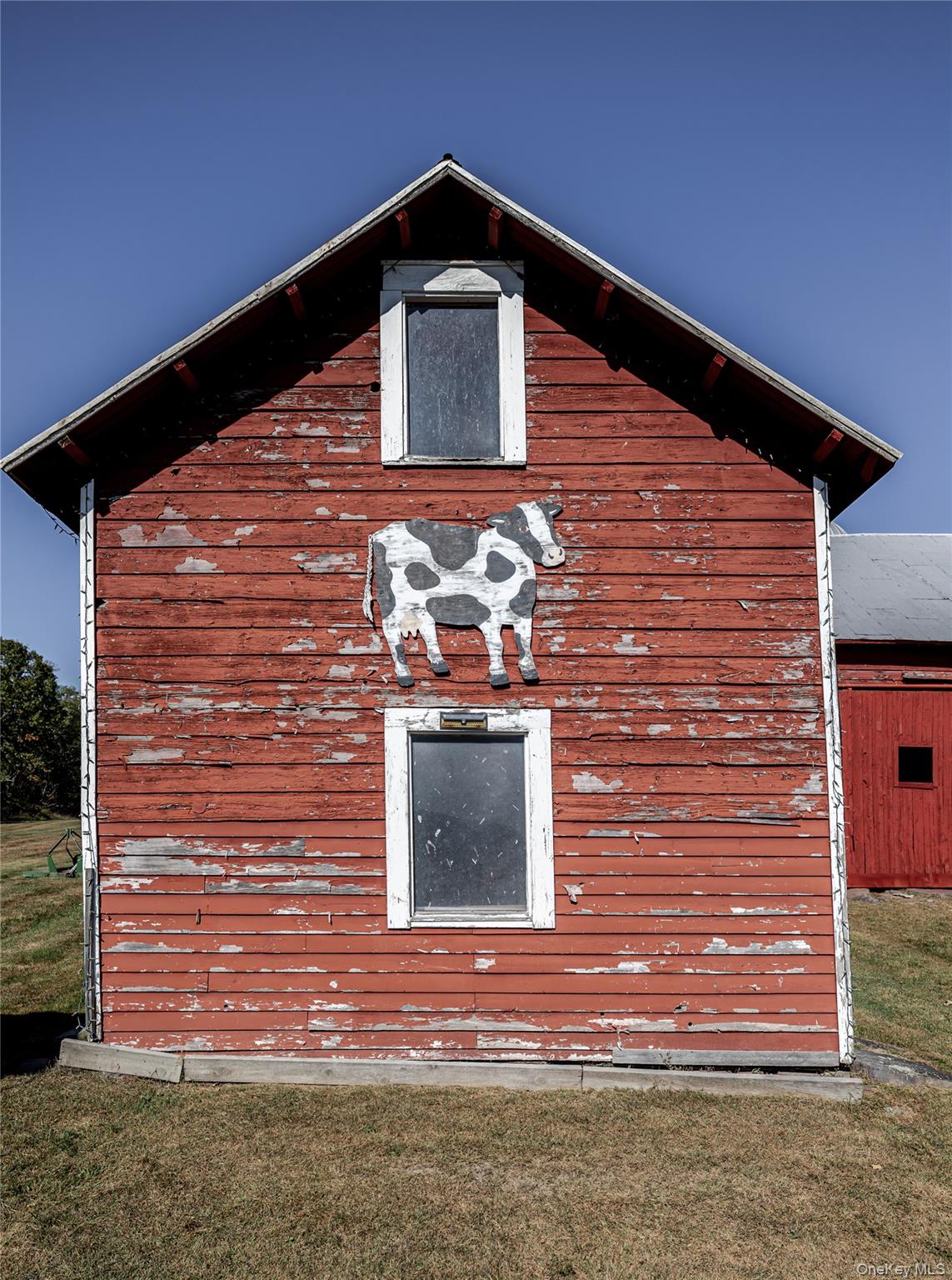 image6