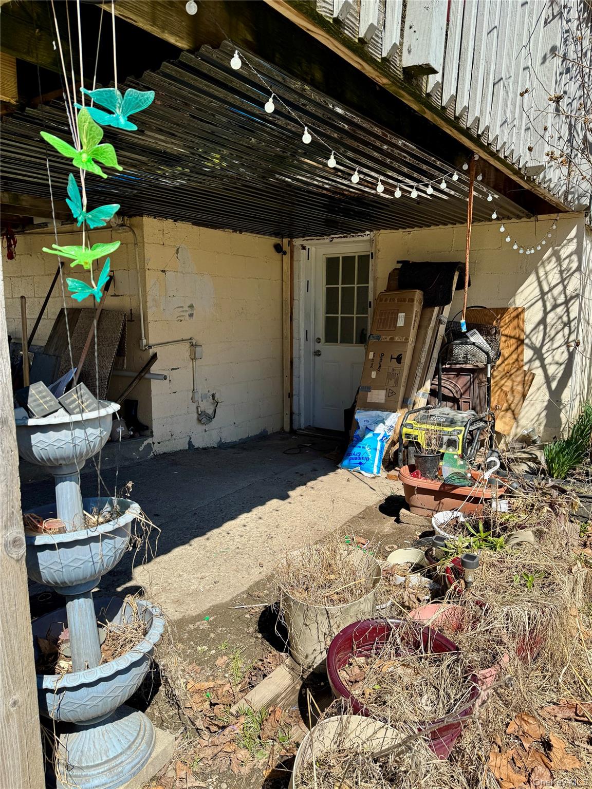image 14