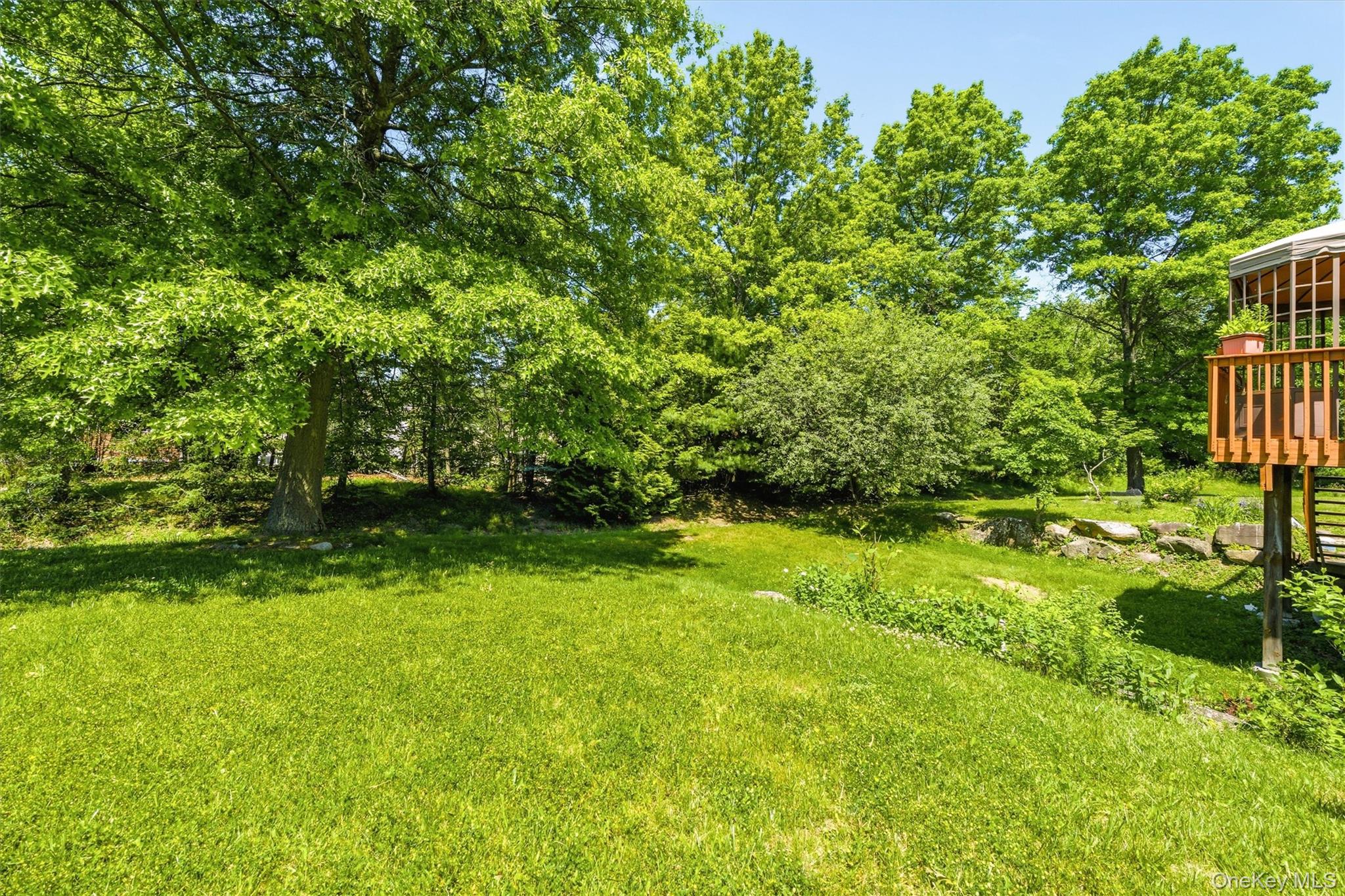 image46