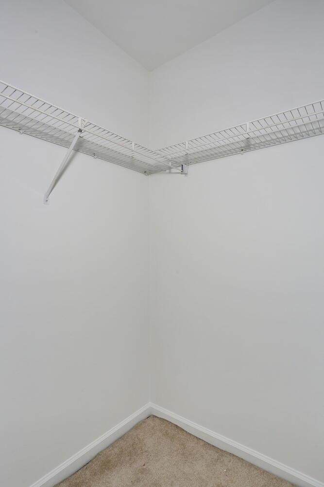 image19