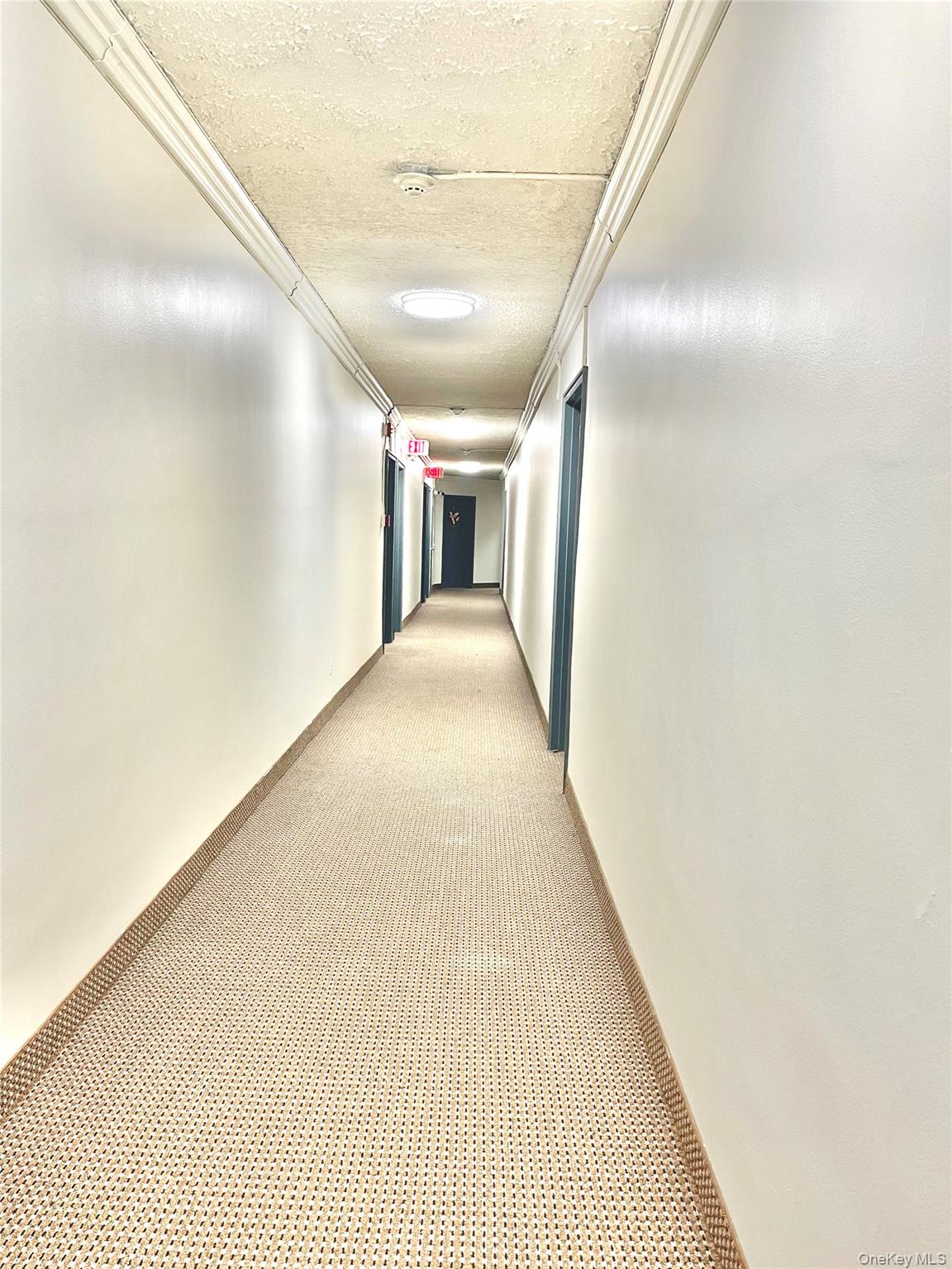 image6