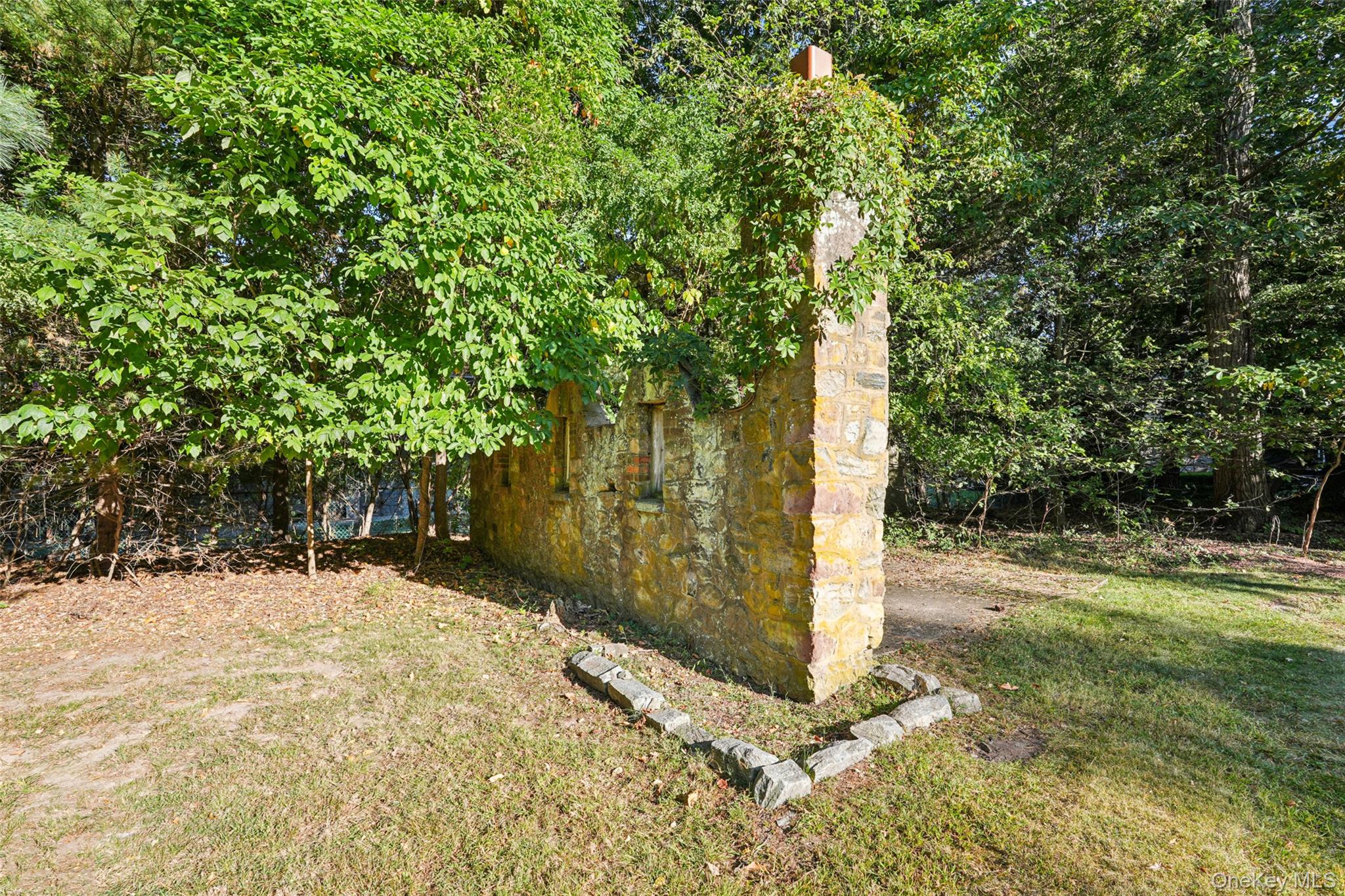 image 33