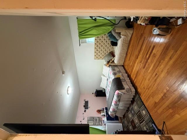 image8