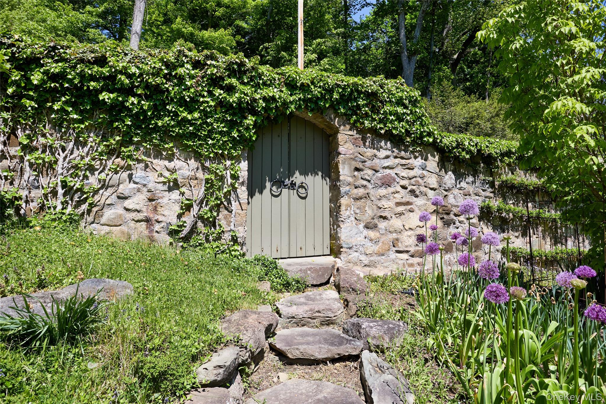 image7