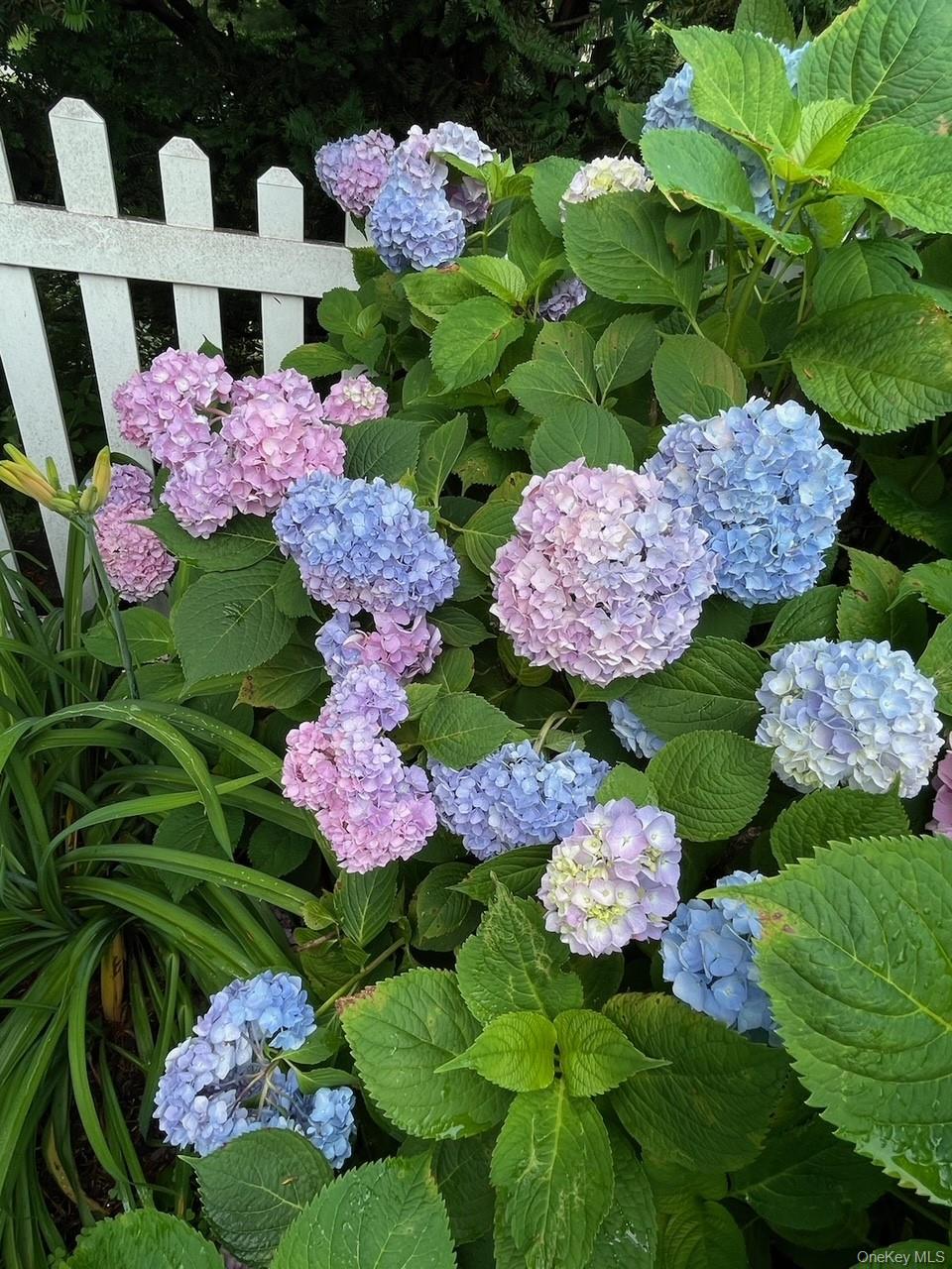image 16