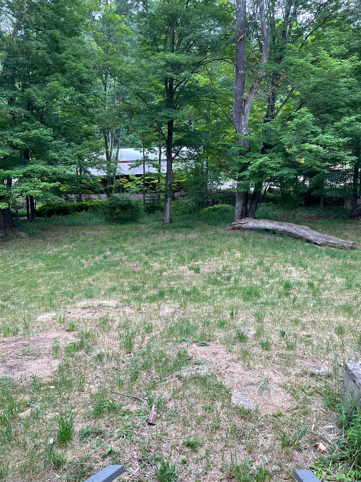 image 30