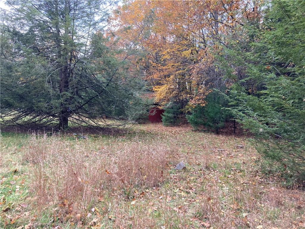 image 14