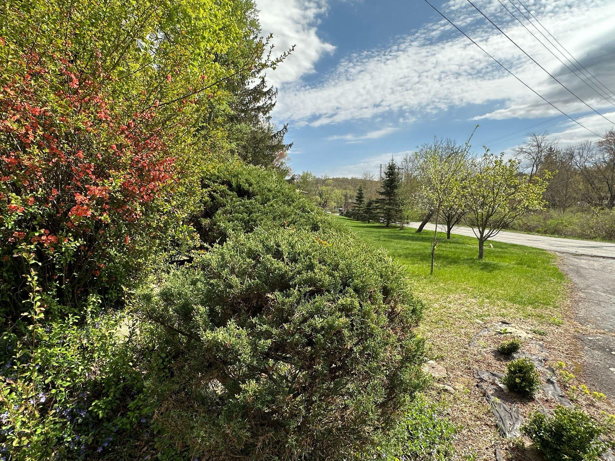 image35