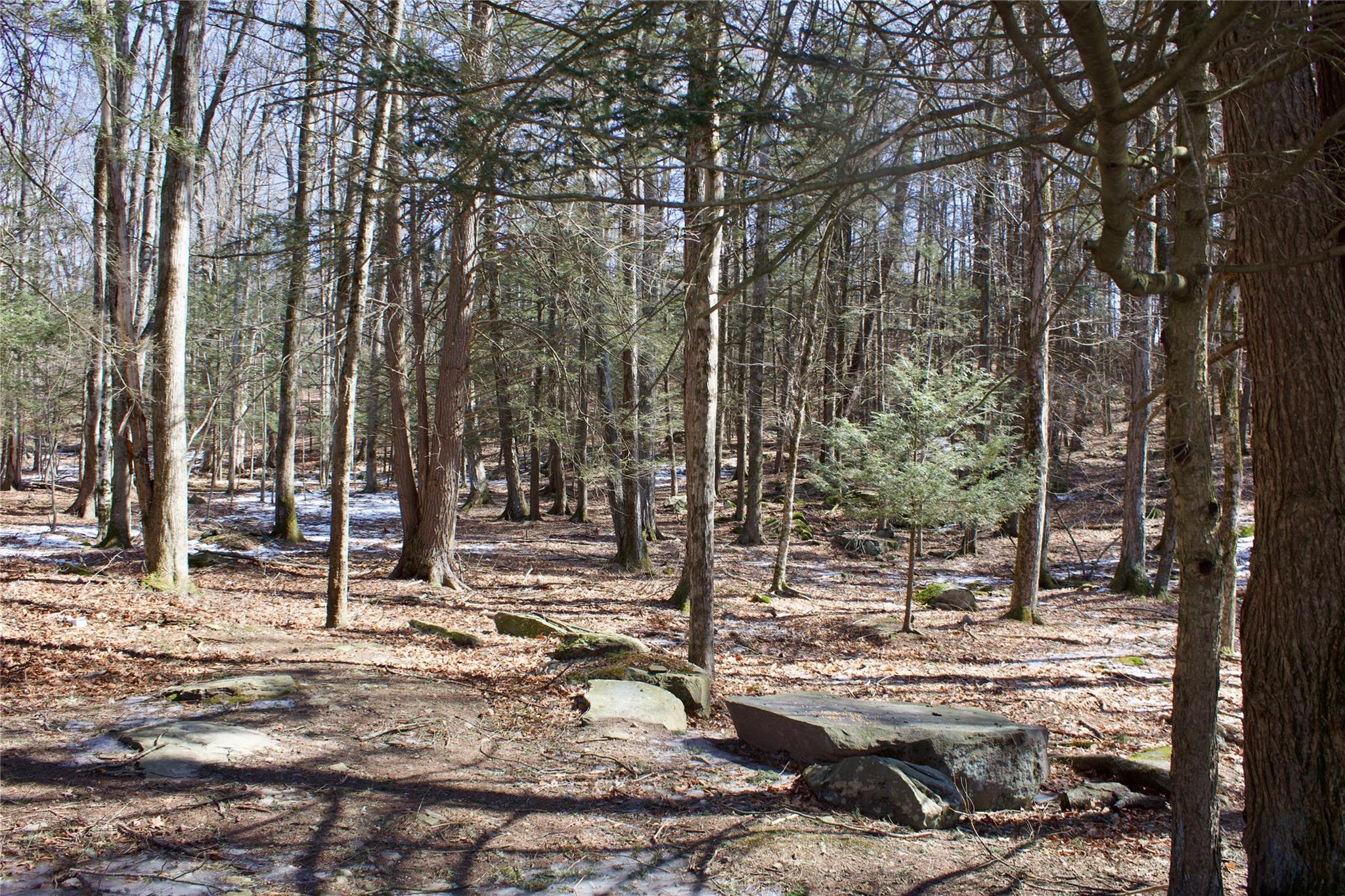 image18