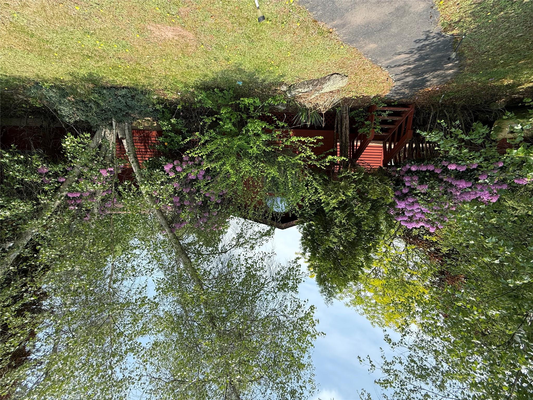 image 32