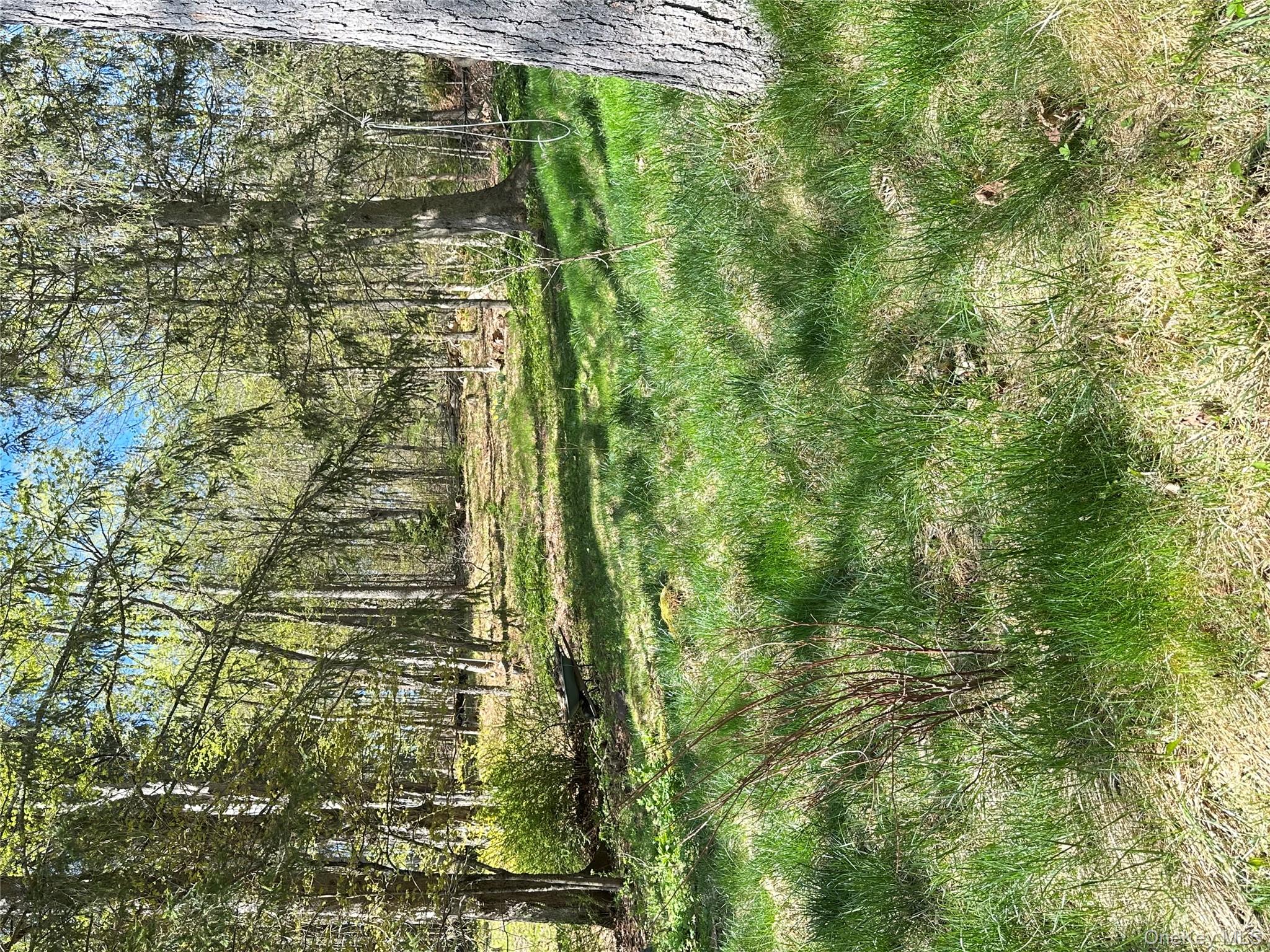 image28