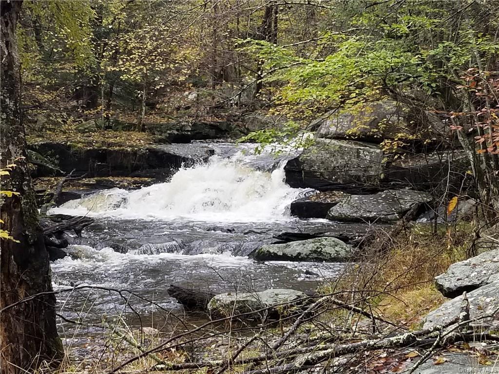 image36
