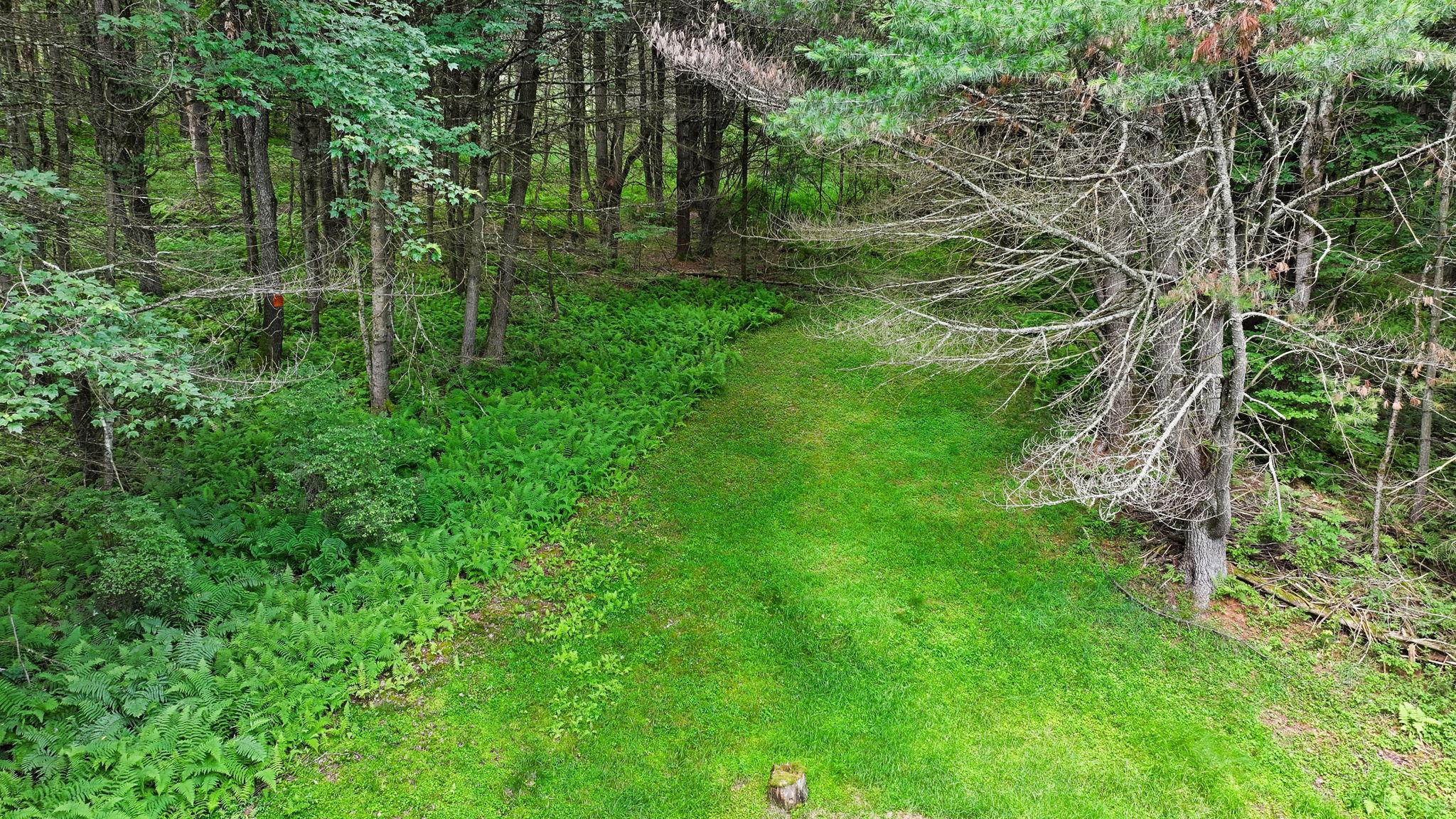 image 29
