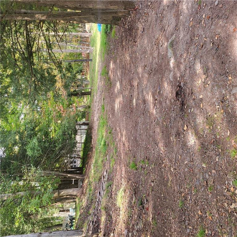 image 22