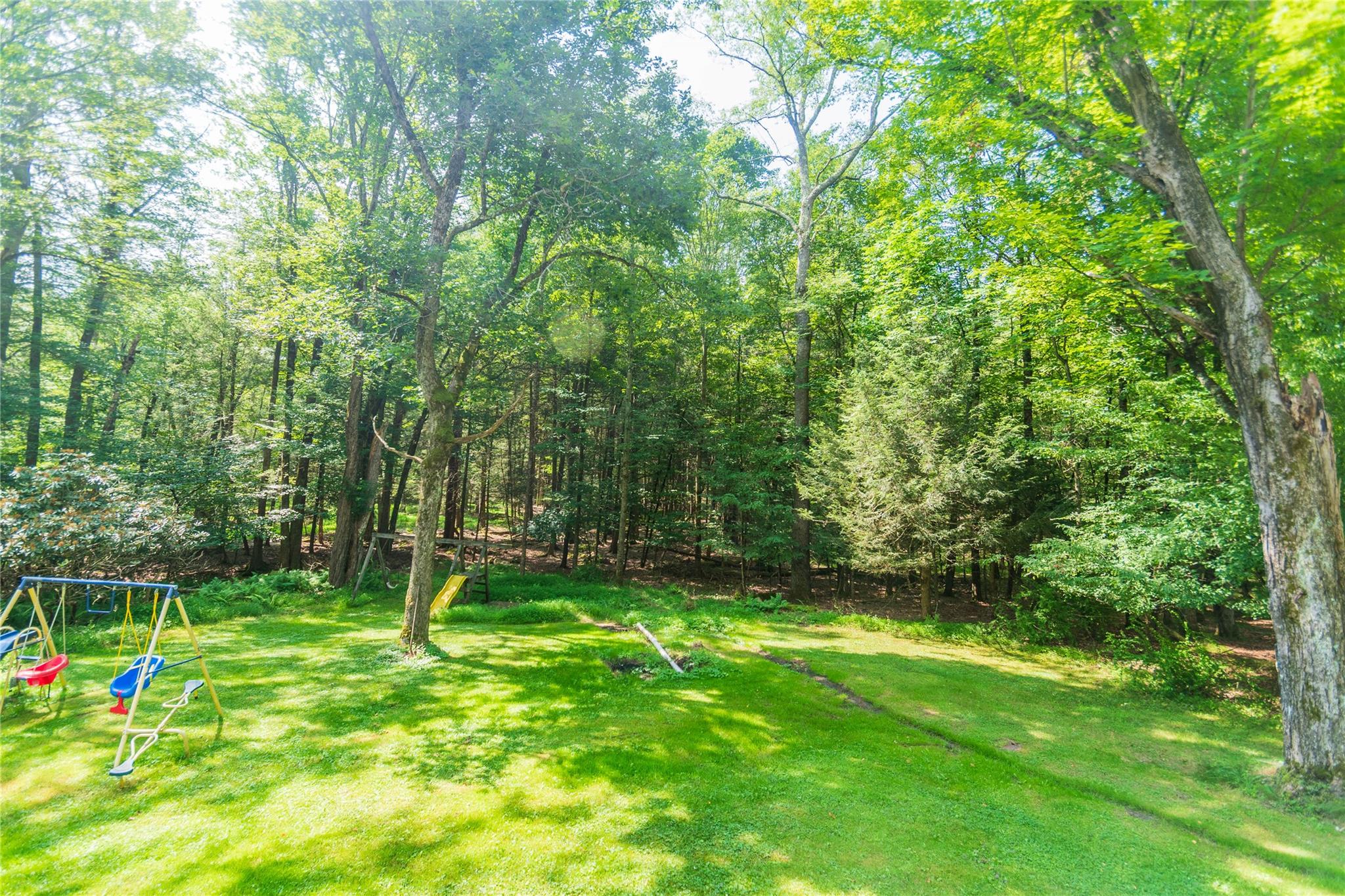 image12