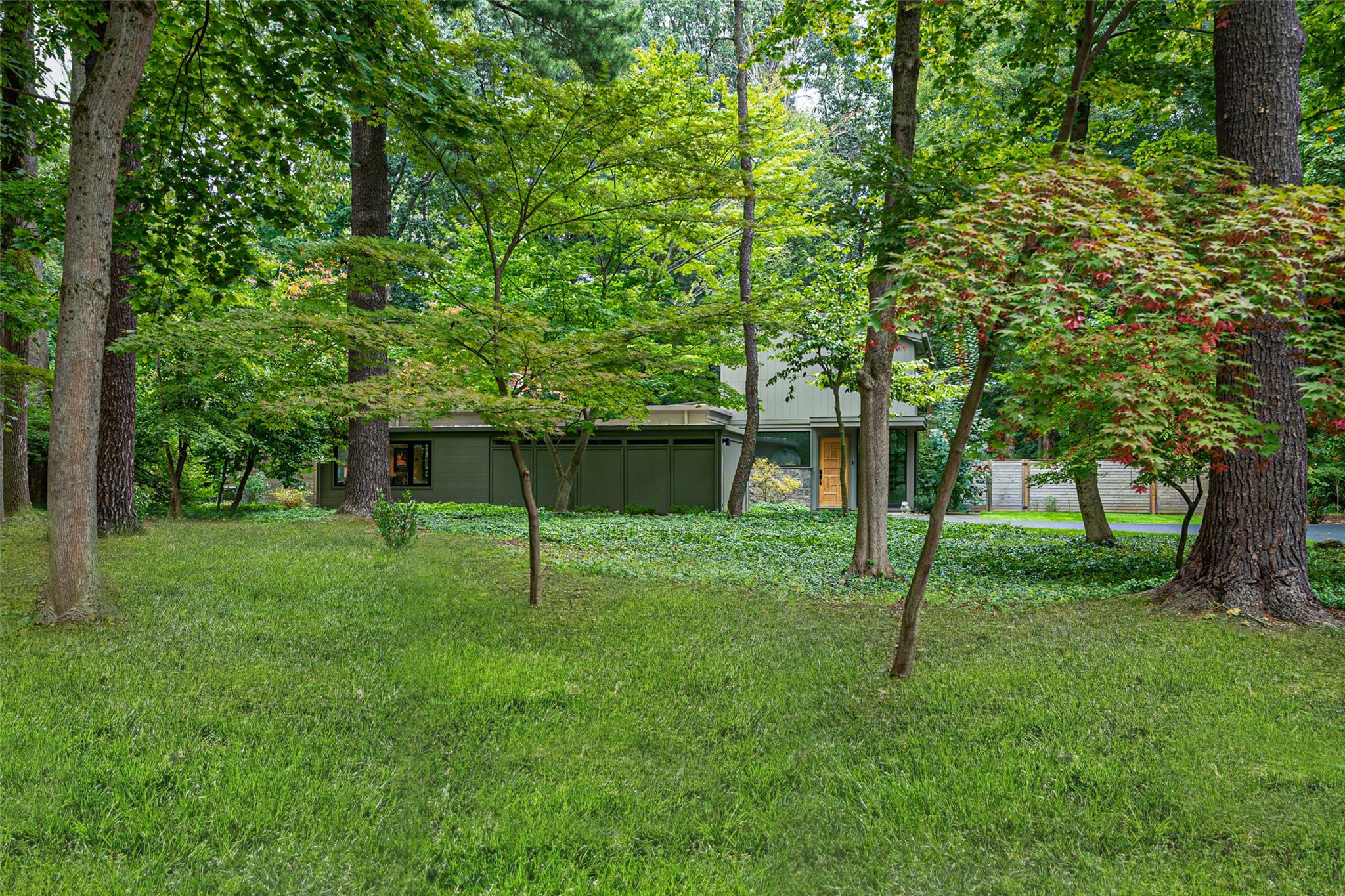 image 43
