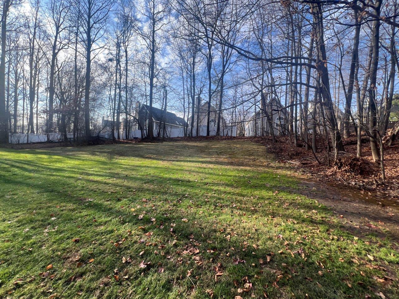 image 14
