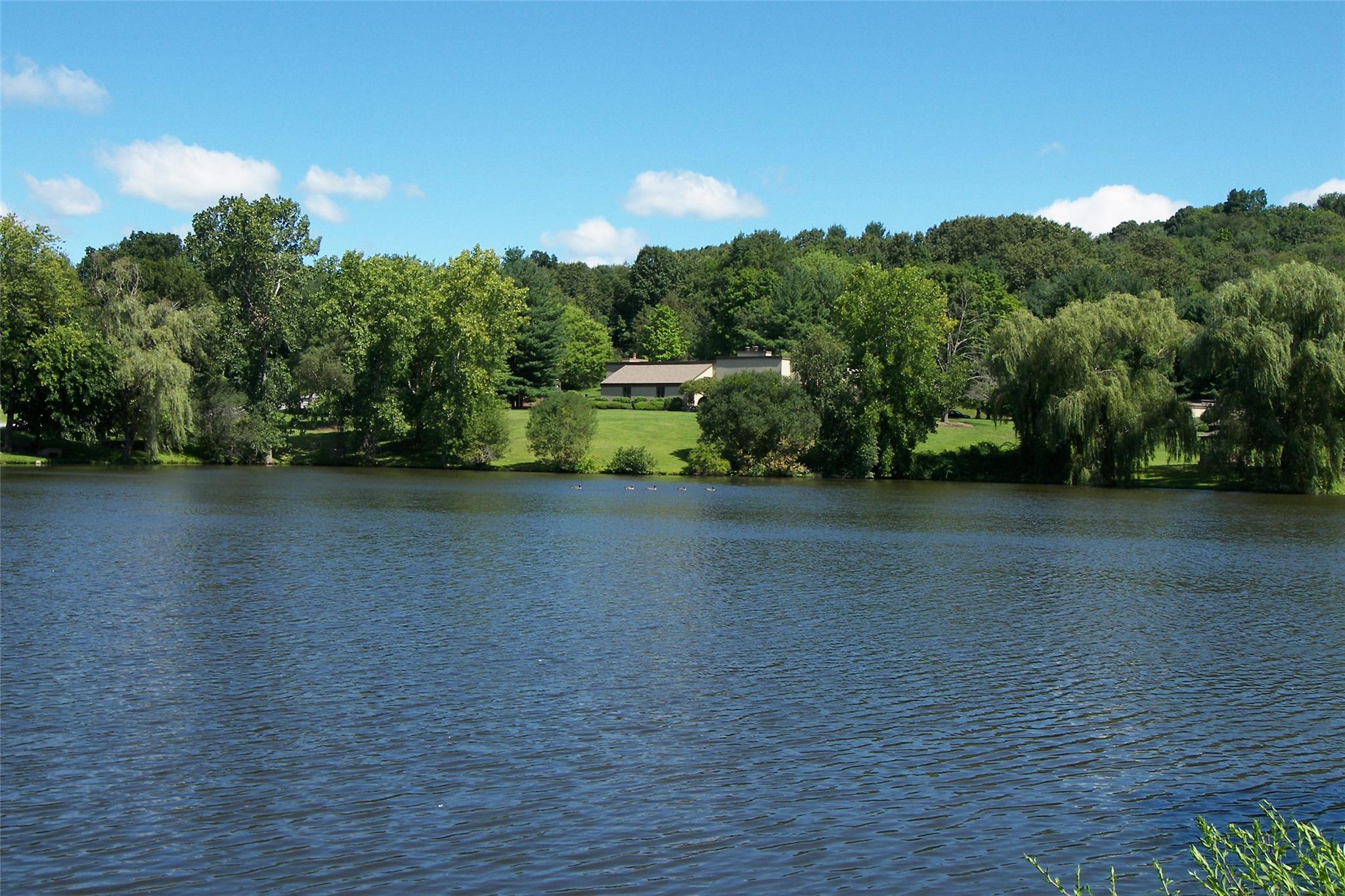 image 33