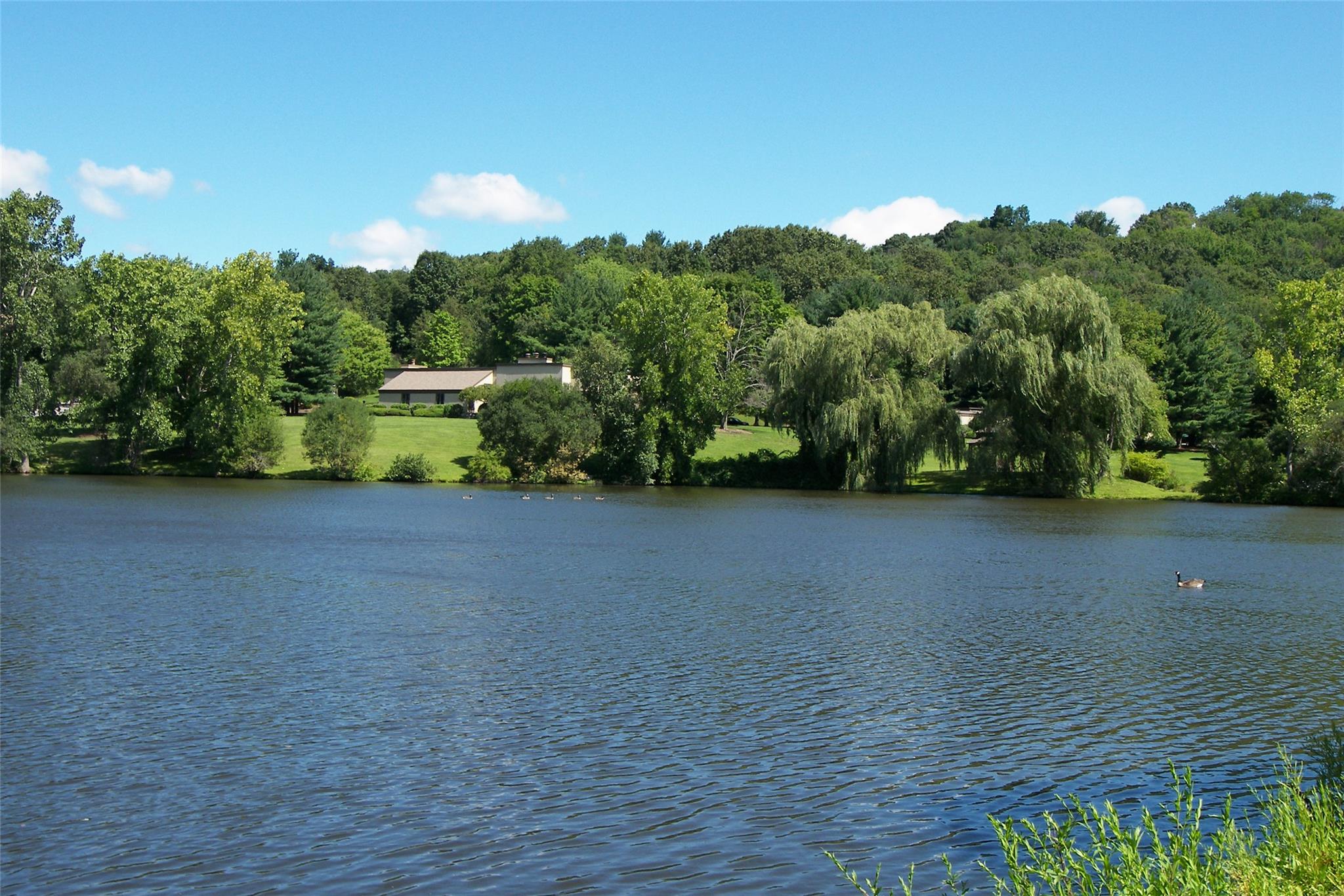 image25