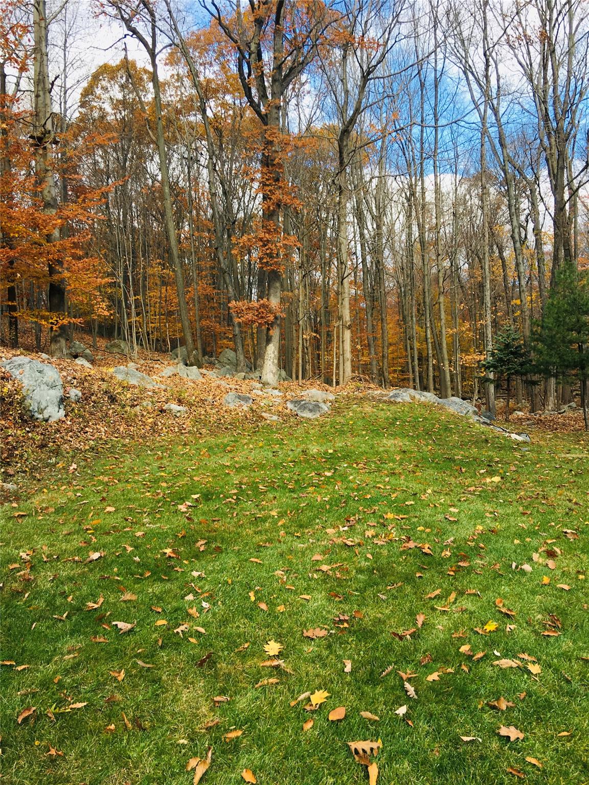 image35