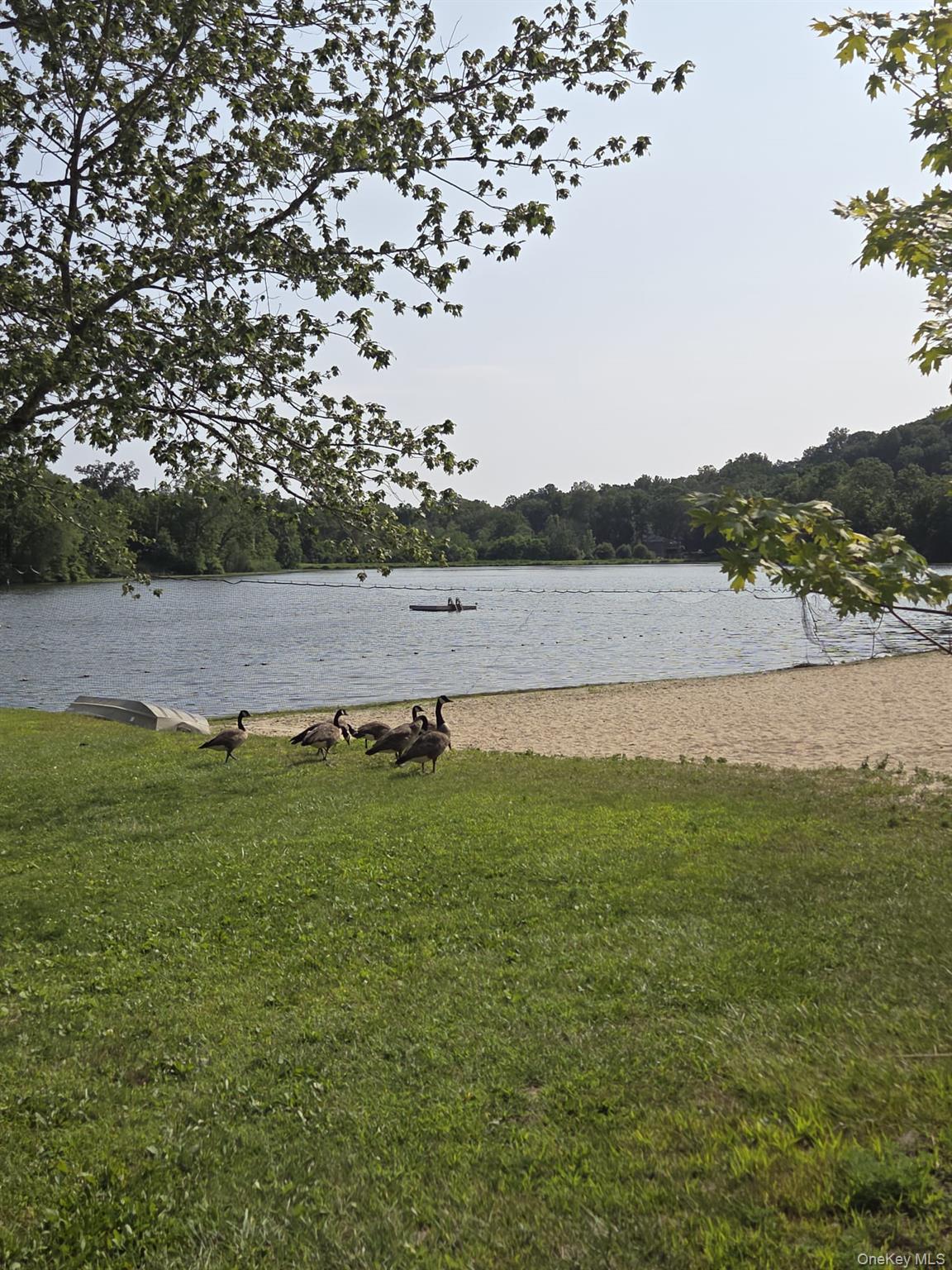 image19
