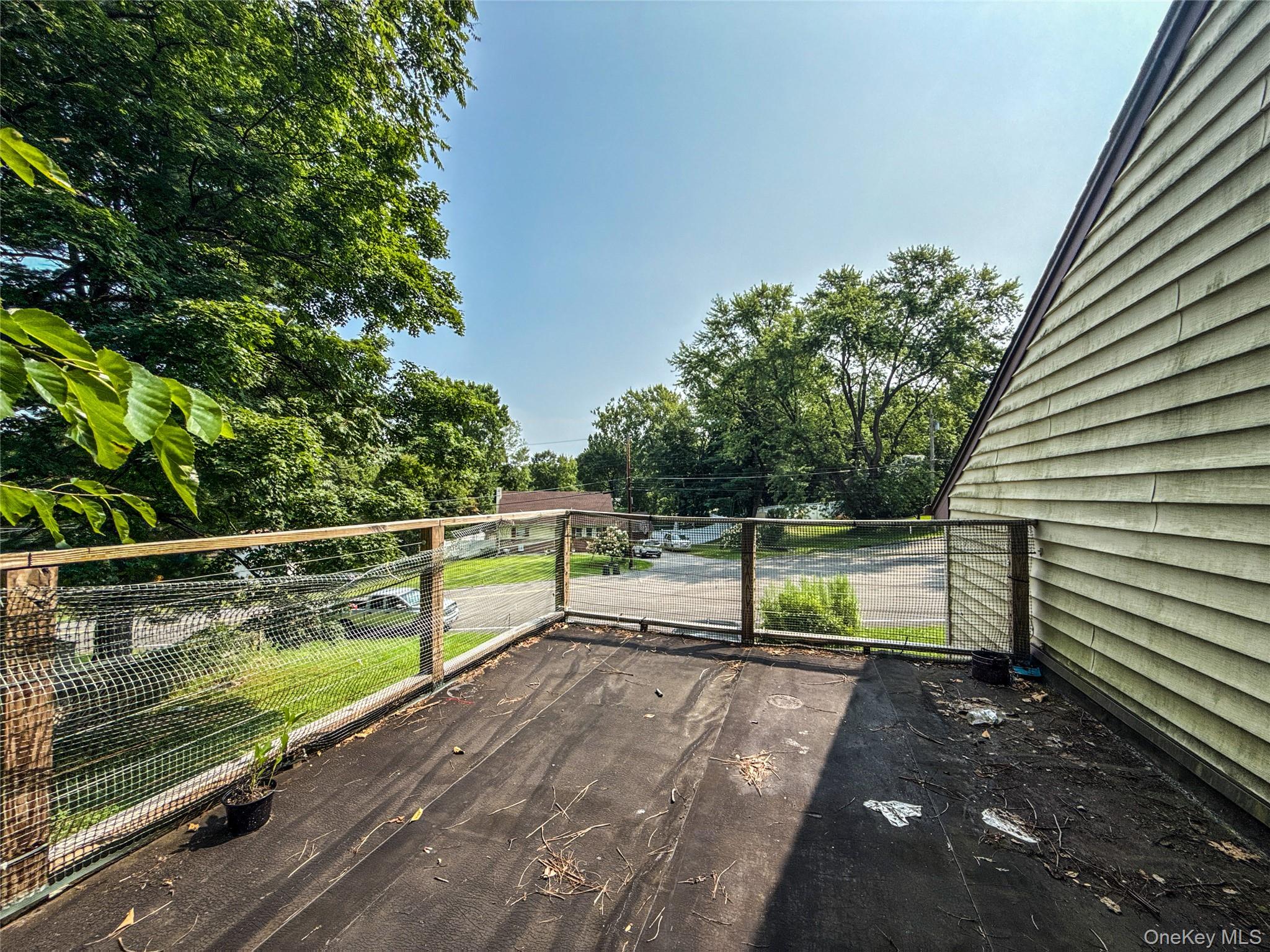 image11