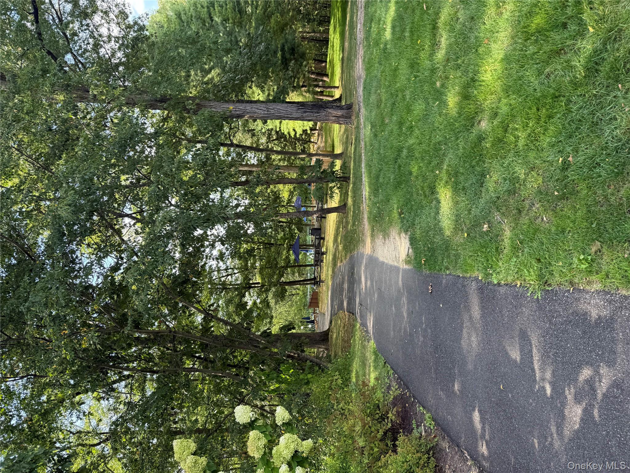 image 34