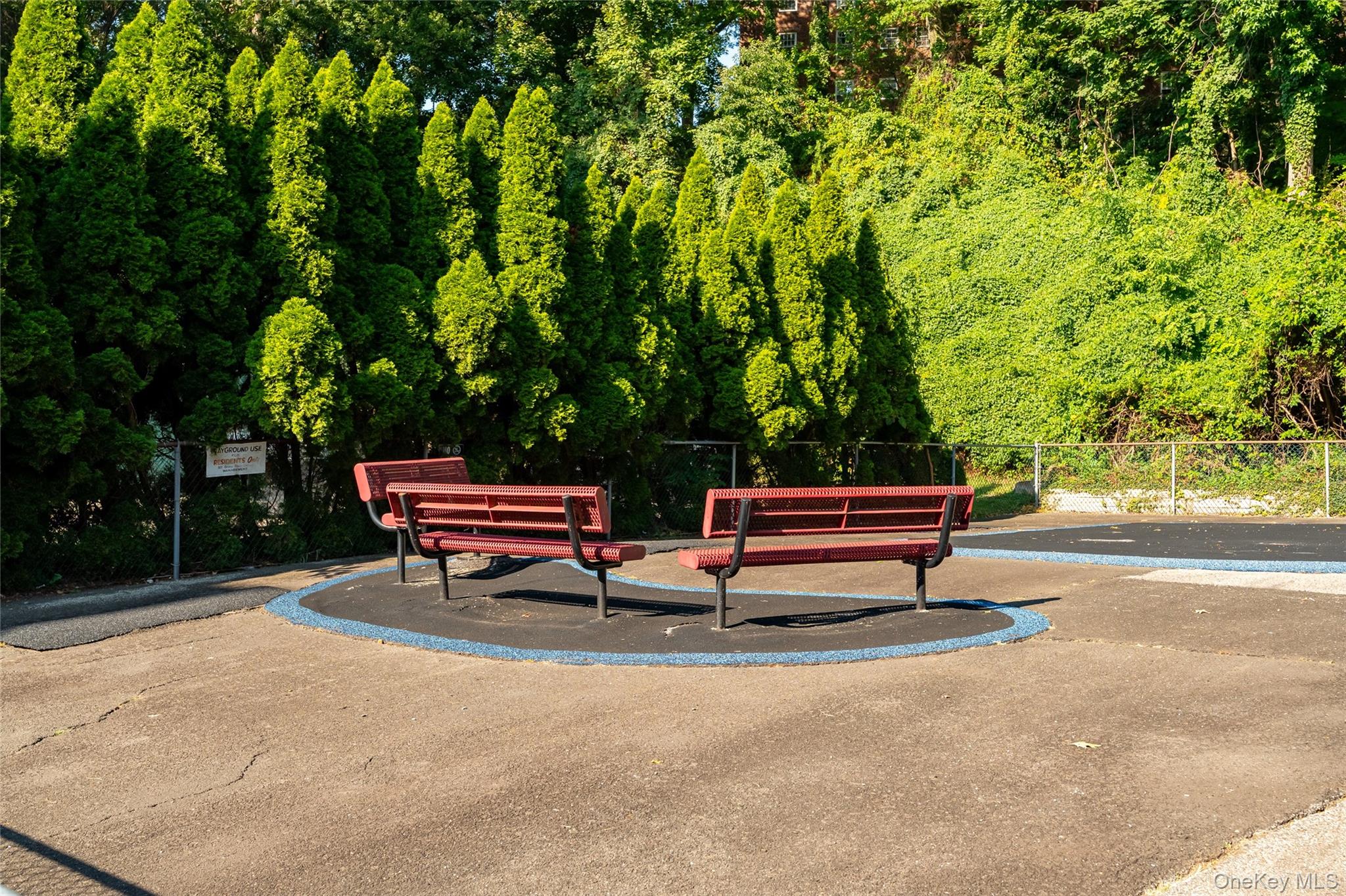 image 29