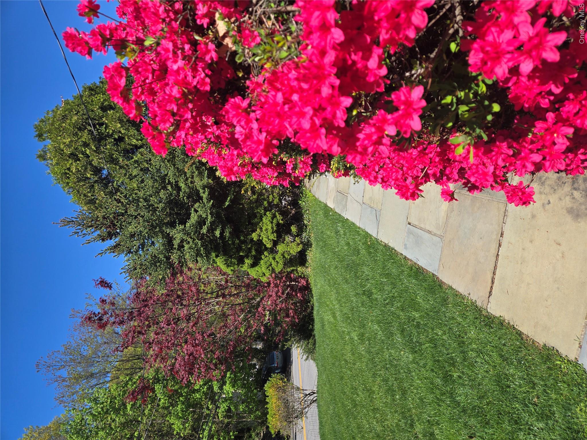 image 33