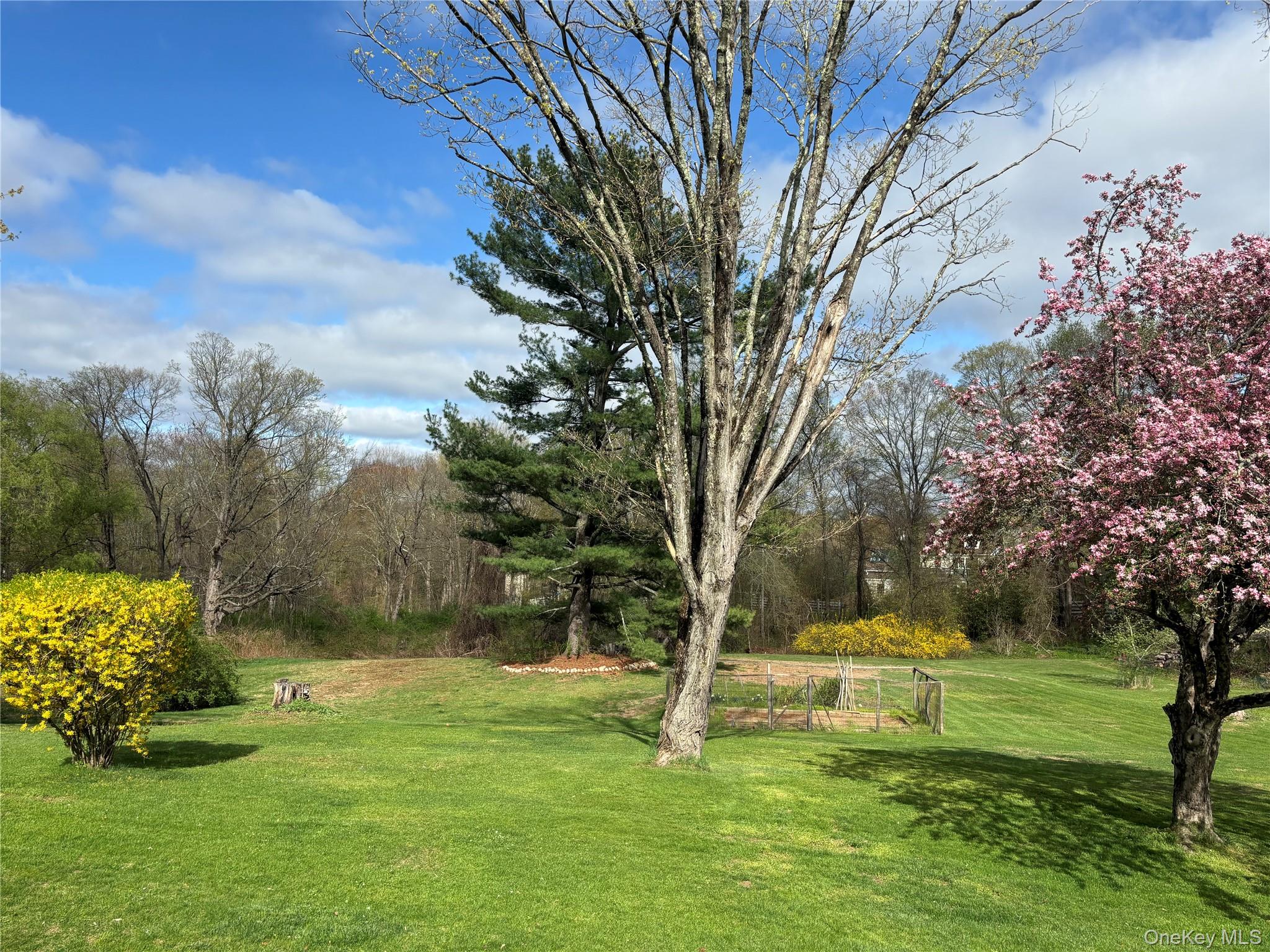 image12