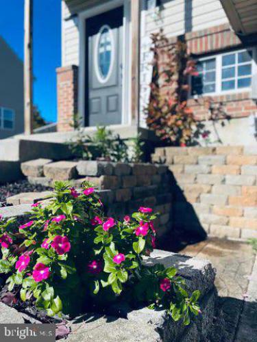 Photo of 348 W Wind Drive