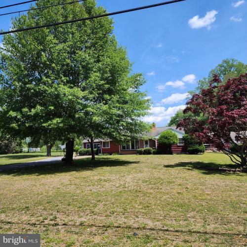 Photo of 700 Canterbury Road