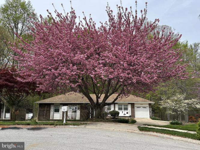 Photo of 1103 Arundel Drive, Wilmington DE