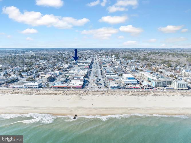 Photo of 50 Wilmington Avenue 103