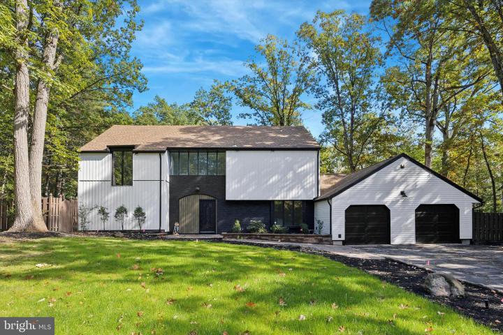 Photo of 102 Lane Of Trees