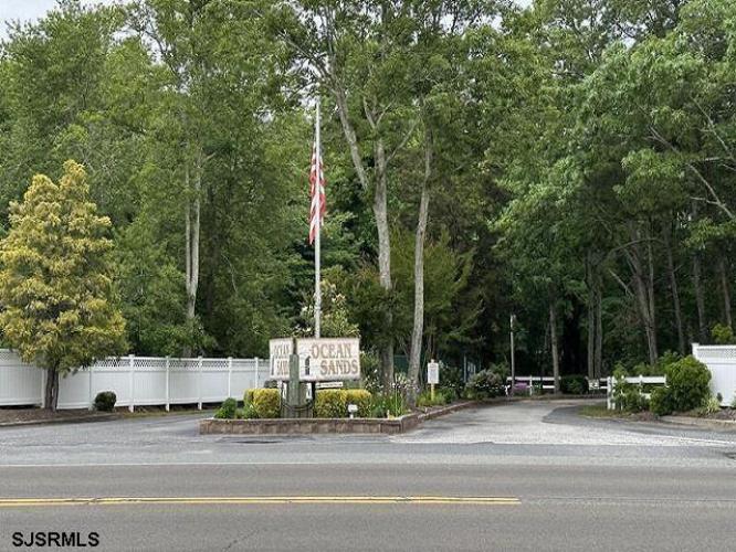 Photo of 81 Flounder