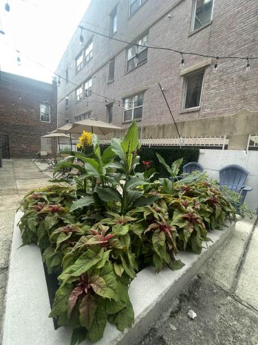 Photo of 315 56th Street D1, West New York NJ